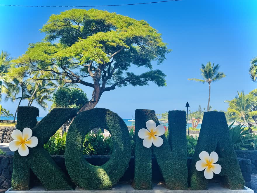 Hedge letters spelling KONA, decorated with plumeria flowers