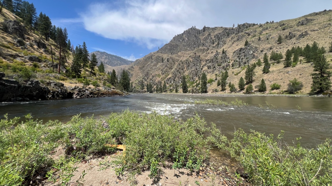 The Salmon River winding through its canyon